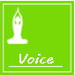 Voice